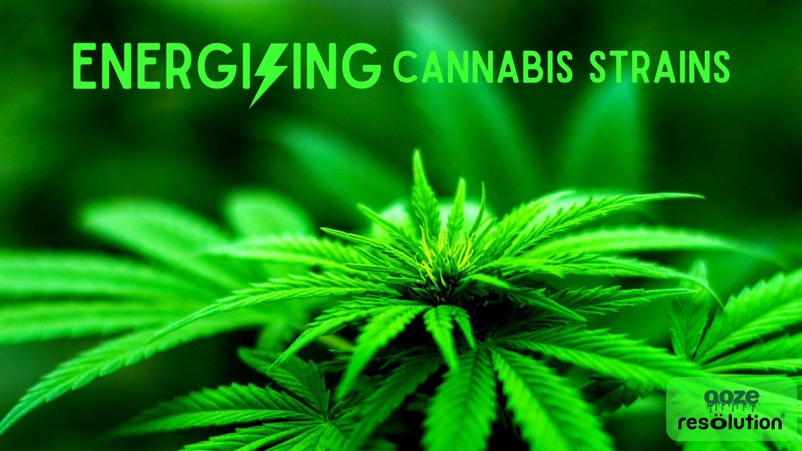 The Best Energizing Cannabis Strains