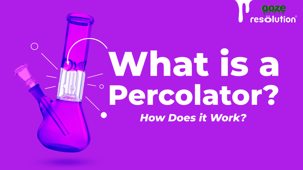 What is a Percolator and How Does it Work?